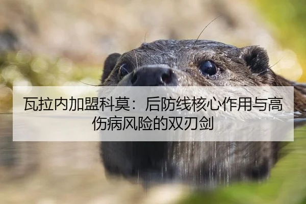 瓦拉内加盟科莫：后防线核心作用与高伤病风险的双刃剑