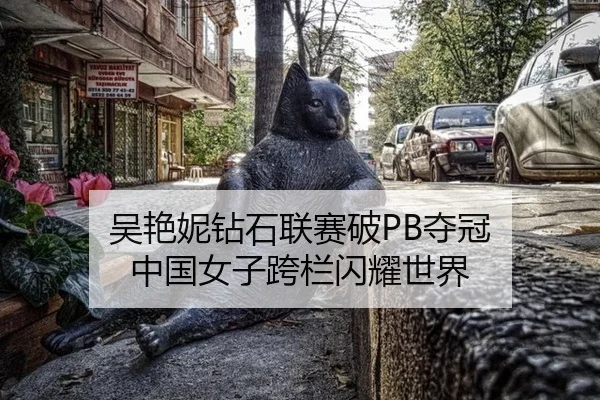 吴艳妮钻石联赛破PB夺冠 中国女子跨栏闪耀世界